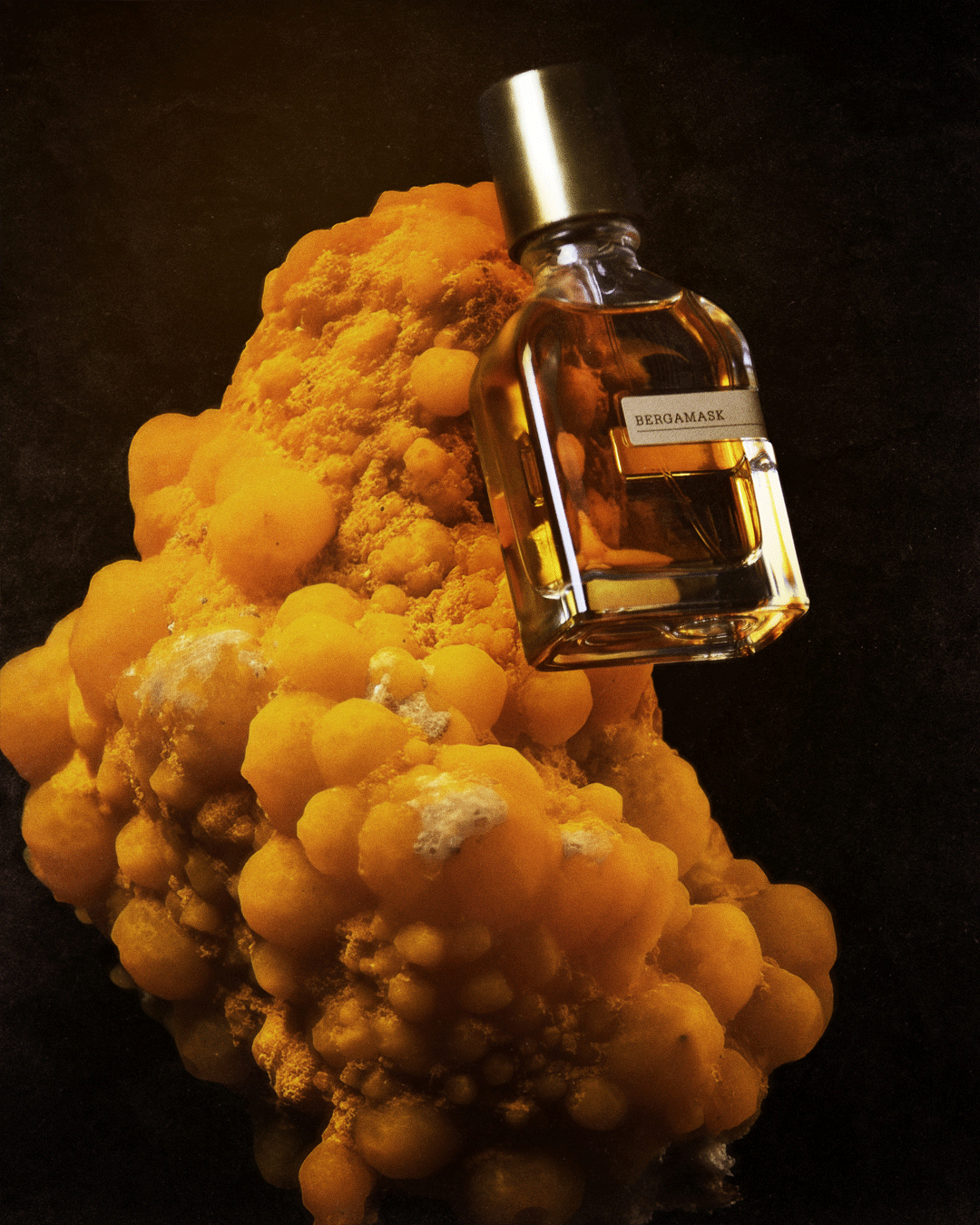 BERGAMASK – Orto Parisi