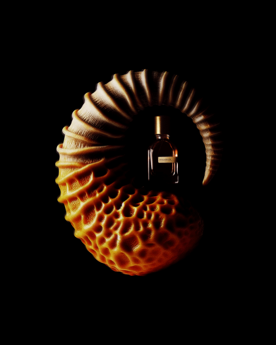 Creative image of Bergamask