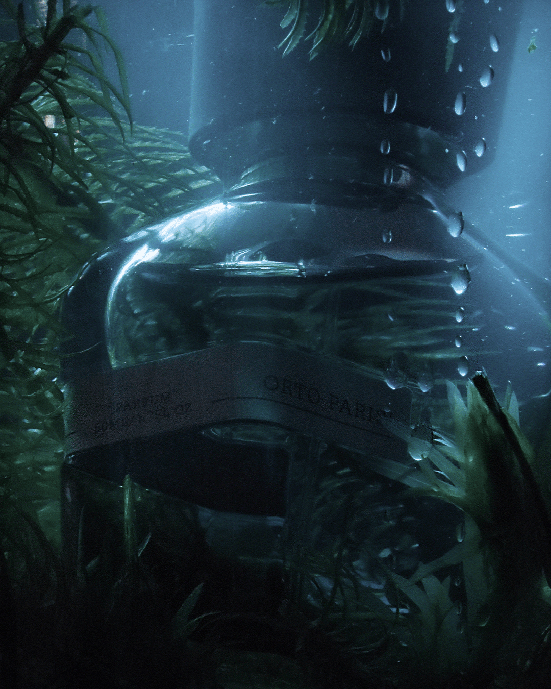 Creative bottle image of Megamare
