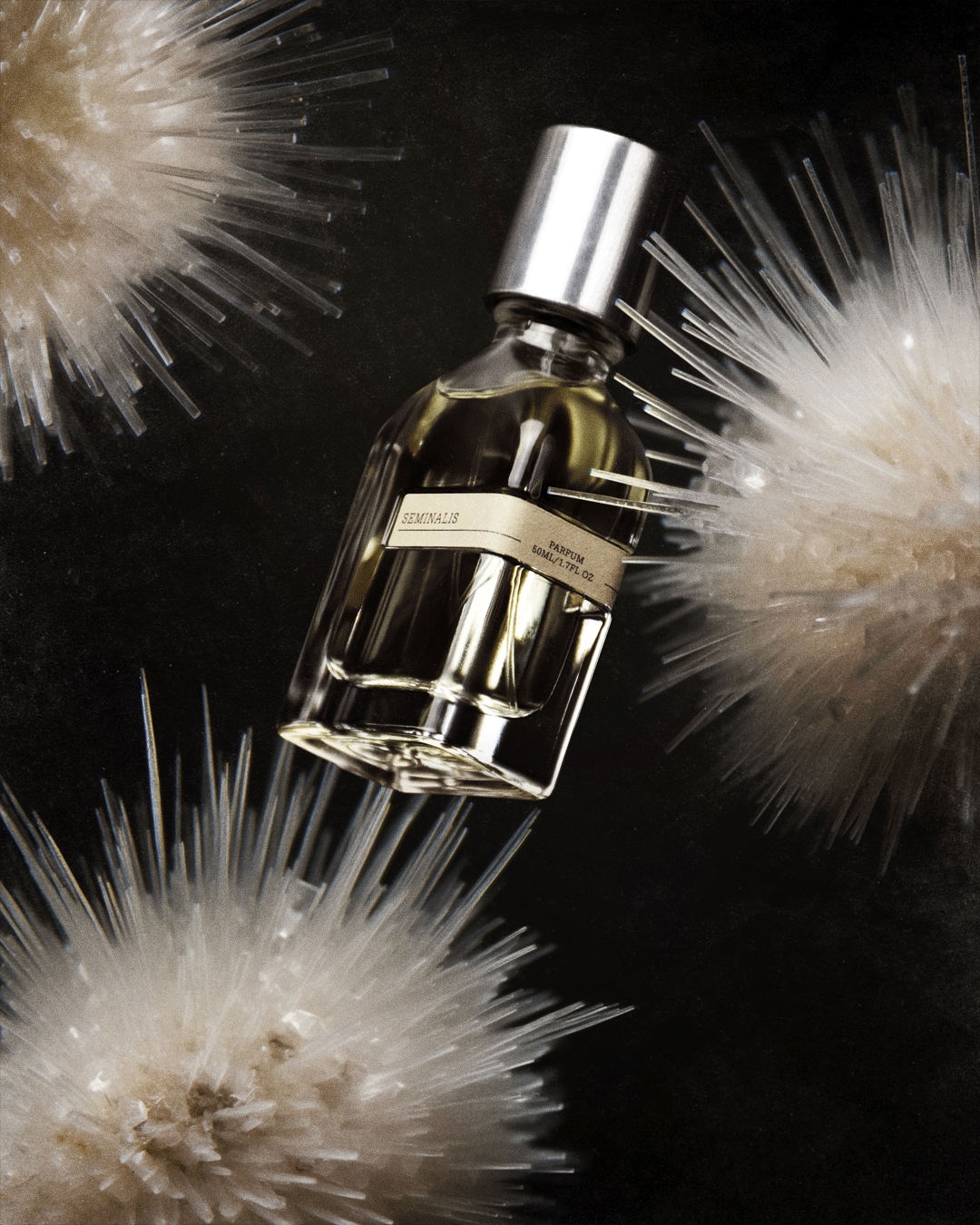 SEMINALIS – Orto Parisi