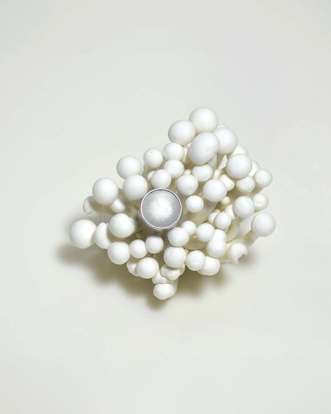Branding image for Seminalis