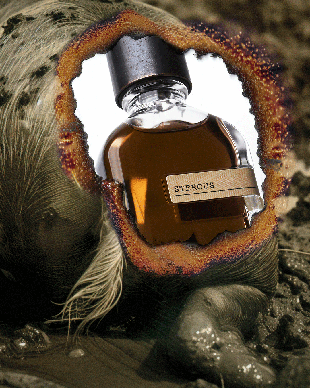 Artistic shot of Stercus bottle
