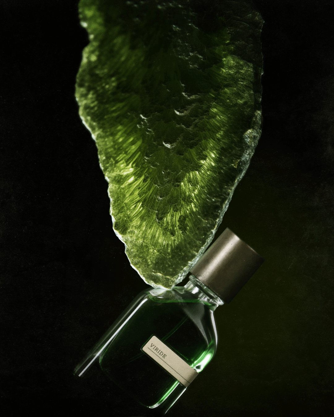 VIRIDE – Orto Parisi