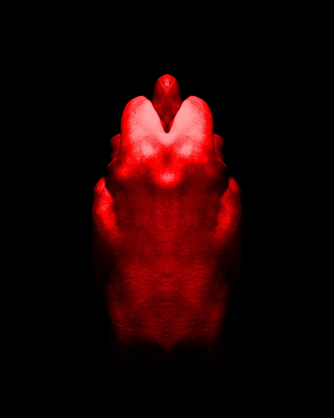 TERRONI – Orto Parisi